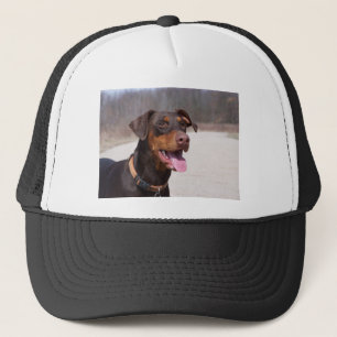 Casquette Dobermann