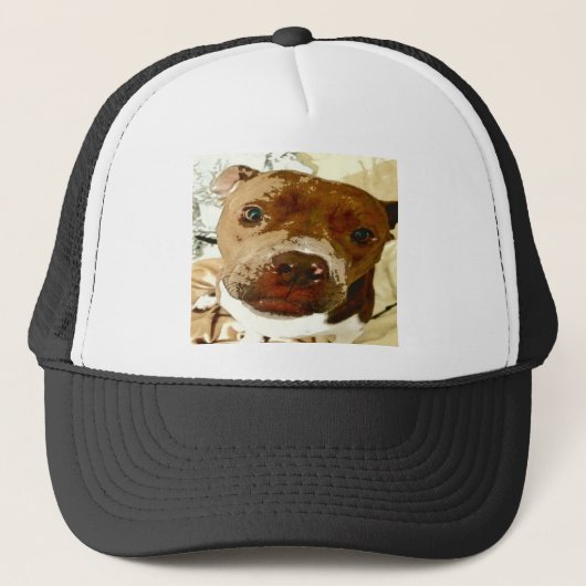 Casquette Douce Pibble Face (Devant)