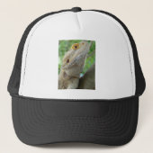 Casquette Dragon barbu (Devant)