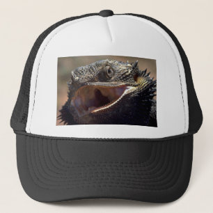 Casquette Dragon barbu, Australie
