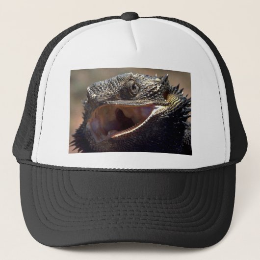 Casquette Dragon barbu, Australie (Devant)