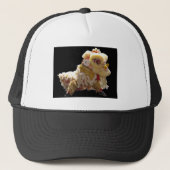 Casquette Dragon chinois (Devant)