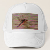 Casquette Dragonfly (Devant)