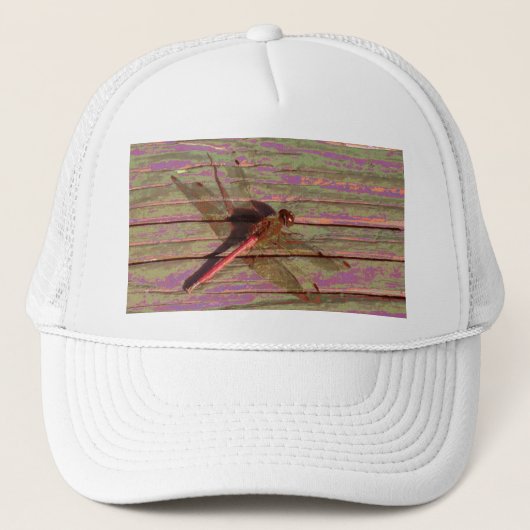Casquette Dragonfly (Devant)