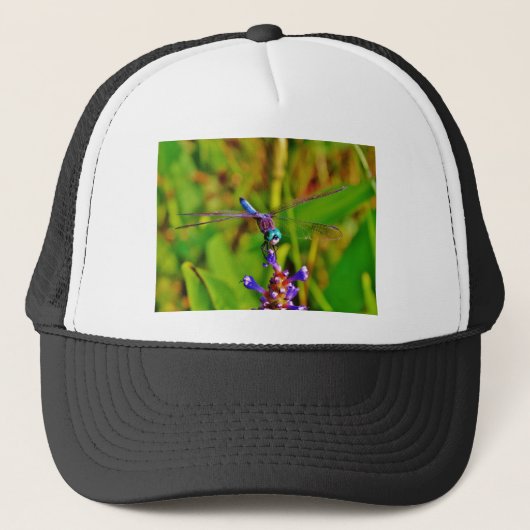 Casquette Dragonfly (Devant)