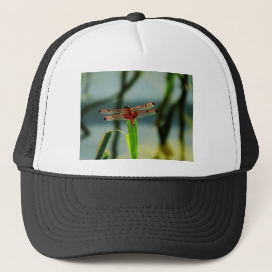 Casquette Dragonfly rouge et noire tachetée (Devant)