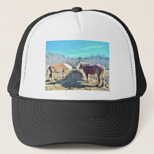 Casquette Ébauche secourue Chevaux mangeant foin (Devant)