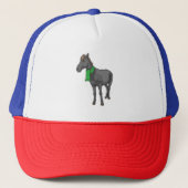 Casquette Écharpe de cheval (Devant)
