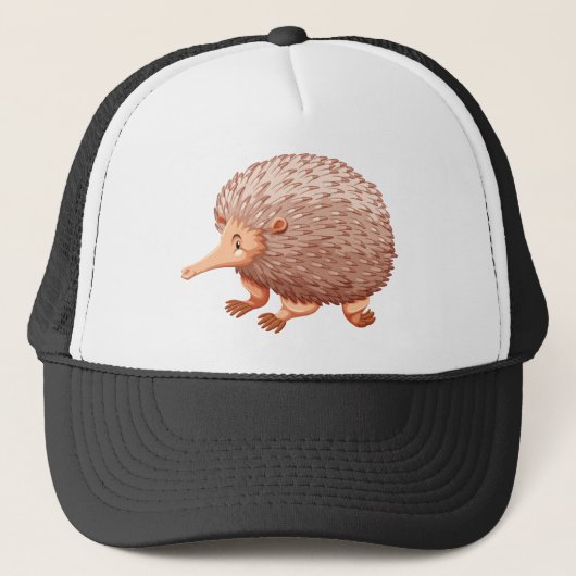 Casquette Echidna (Devant)