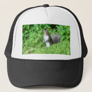 Casquette Écureuil