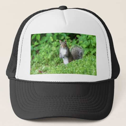 Casquette Écureuil (Devant)