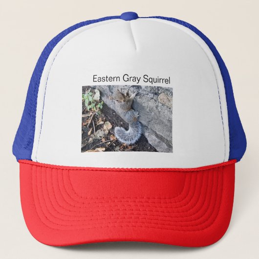 Casquette Écureuil gris-oriental (Devant)