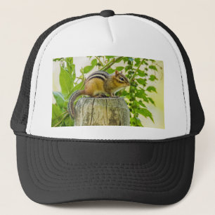 Casquette Écureuil sur un poteau de clôture