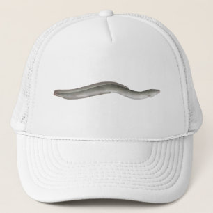 Casquette Eel européen