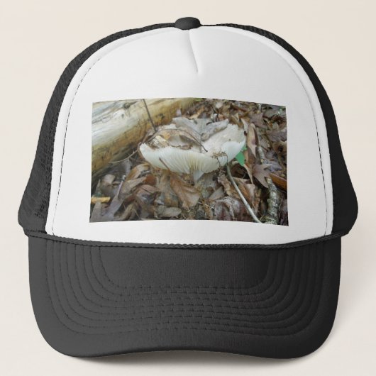 Casquette Éléments de coordination du champignon blanc (Devant)