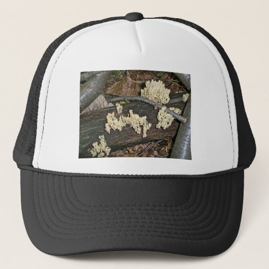 Casquette Éléments de coordination du champignon corallien (Devant)