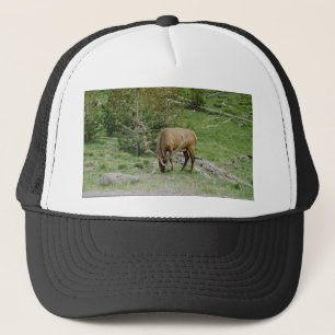 Casquette Elk Avec Antlers Velours