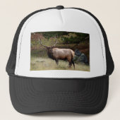 Casquette Elk dans le désert (Devant)