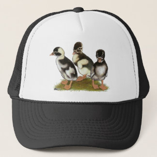 Casquette Emery Penciled Runner Ducklings