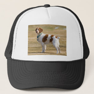 Casquette Épagneul de Bretagne