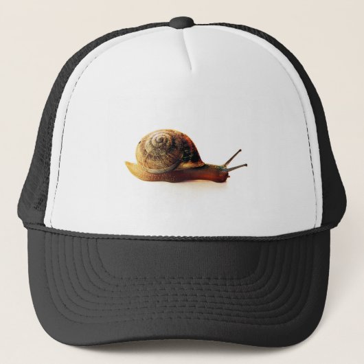 Casquette Escargot (Devant)