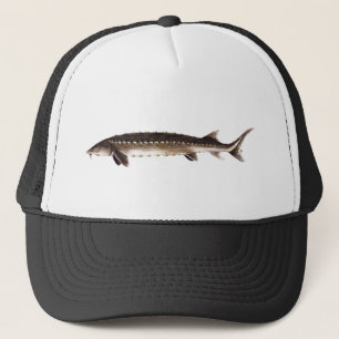 Casquette Esturgeon de Shortnose - brevirostrum d'Acipenser