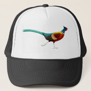 Casquette étranglé de faisan d'anneau