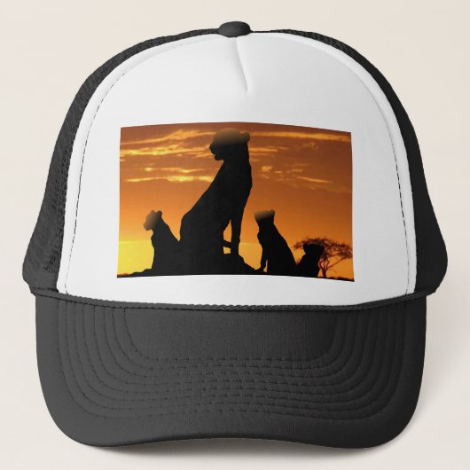 Casquette Famille Cheetah (Devant)
