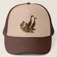 Famille de canards coureurs au chocolat