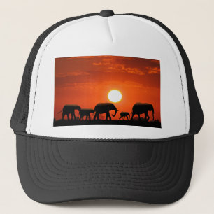 Casquette Famille des éléphants