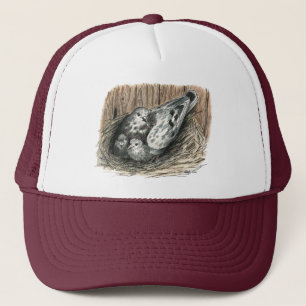 Casquette Famille Pigeon