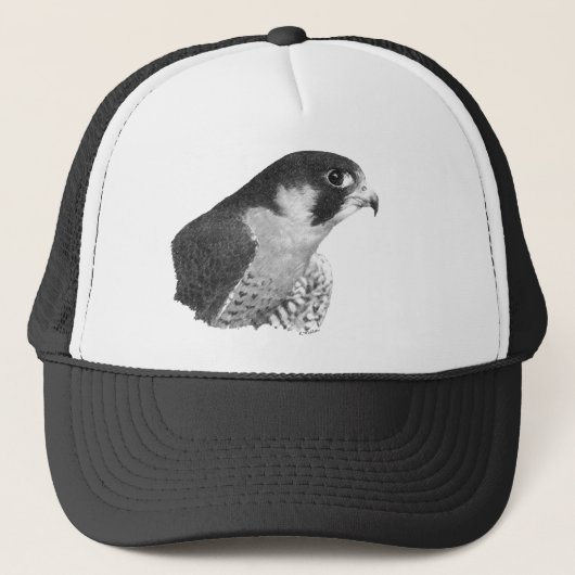 Casquette Faucon-Crayon pérégrin (Devant)
