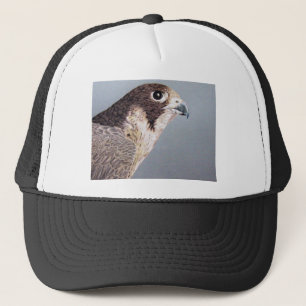 Casquette Faucon pérégrin
