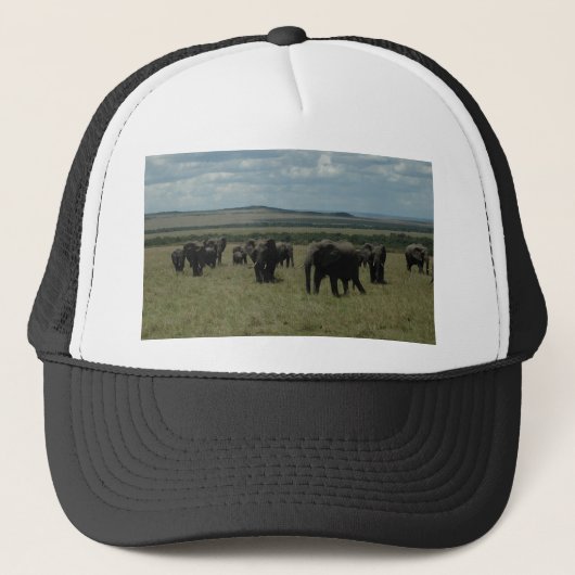 Casquette Faune d'Africain de chapeau de base-ball (Devant)