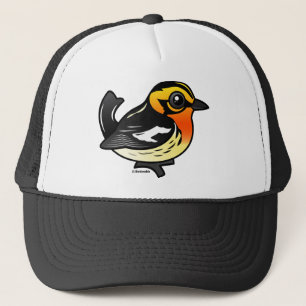 Casquette Fauvette de Blackburnian