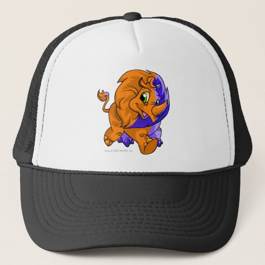 Casquette Fente de Tonu (Devant)