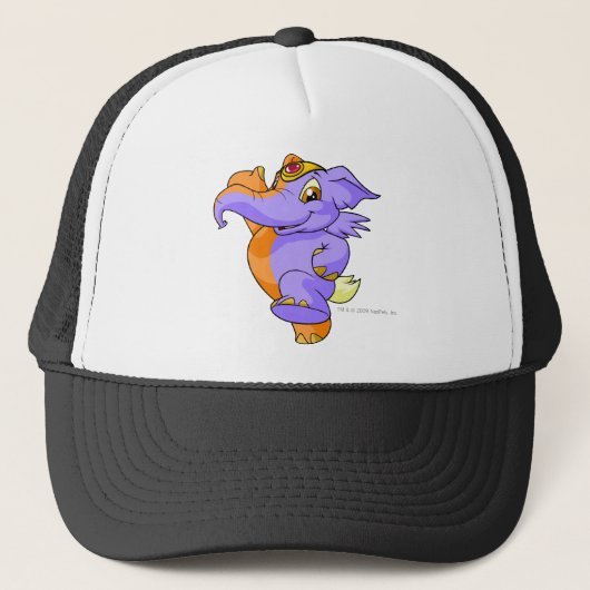 Casquette Fente d'Elephante (Devant)