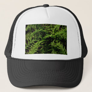 Casquette Fermes du plancher forestier