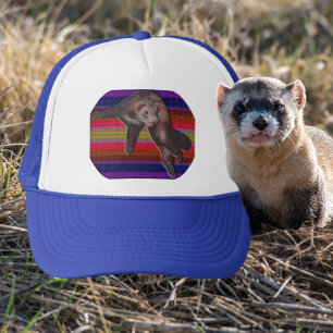 Casquette Ferret dansant avec Arrière - plan rayé coloré