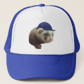 Casquette Ferret portant un capuchon bleu Photo (Devant)