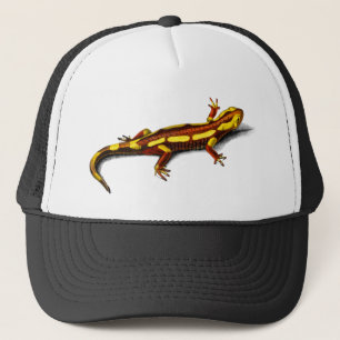 Casquette Feu vintage Salamander