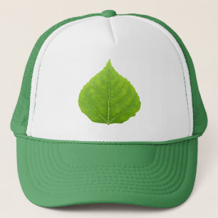 Casquette Feuille d'Aspen vert #11