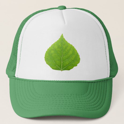 Casquette Feuille d'Aspen vert #11 (Devant)