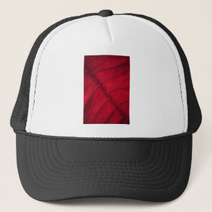 Casquette Feuille rouge