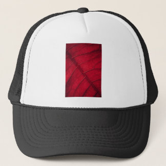 Casquette Feuille rouge
