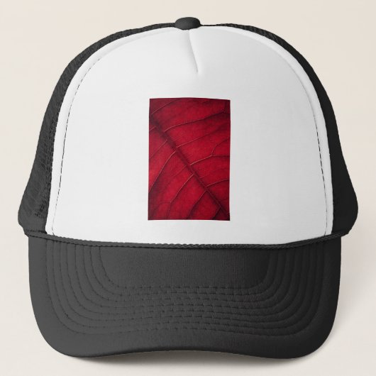 Casquette Feuille rouge (Devant)