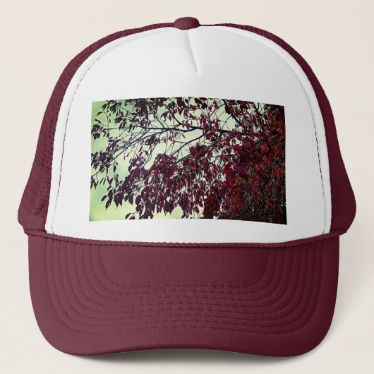 Casquette feuilles Brown (Devant)