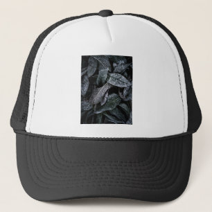Casquette feuilles cool