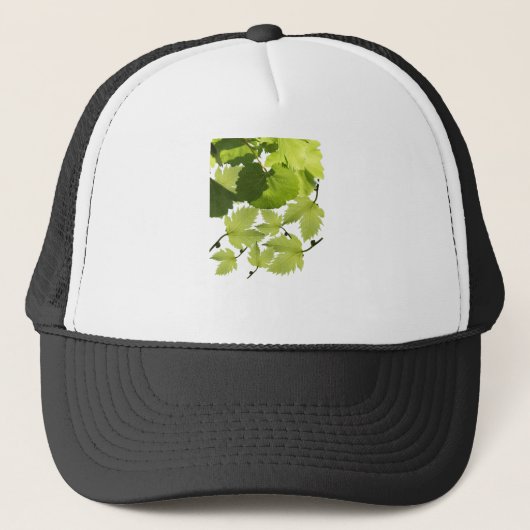 Casquette Feuilles de vigne verte (Devant)