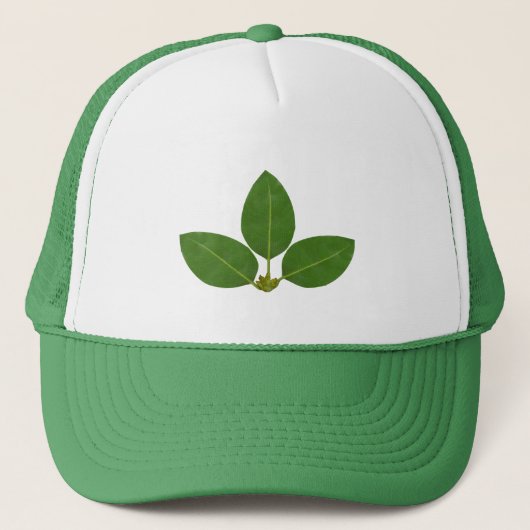 Casquette Feuilles verts modernes (Devant)
